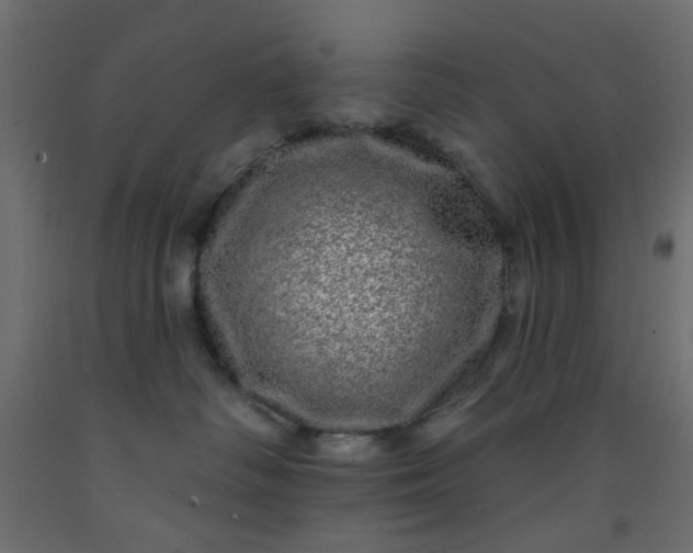 X0000093100334200710101543