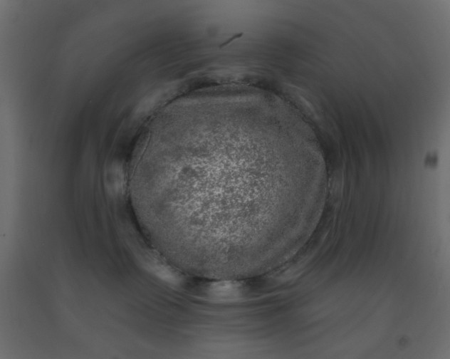 X0000093100335200710101543