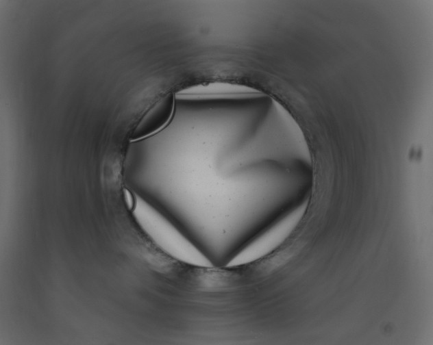 X0000093100336200710101543