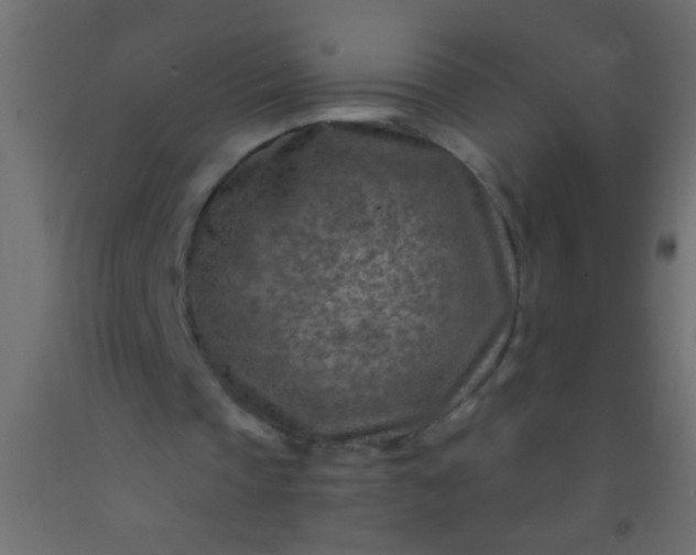 X0000093100337200710101542