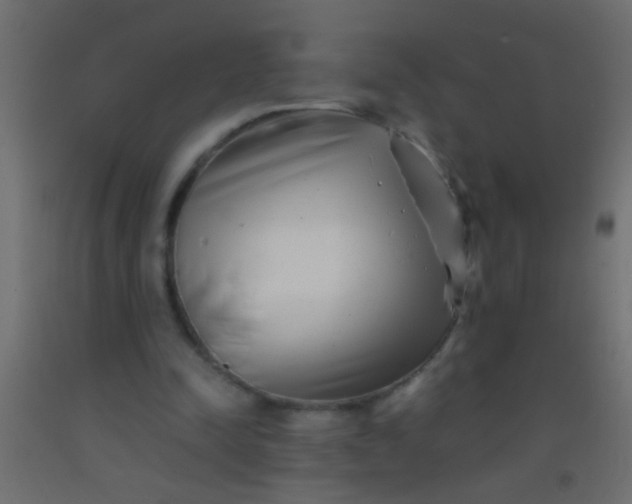 X0000093100342200710101542