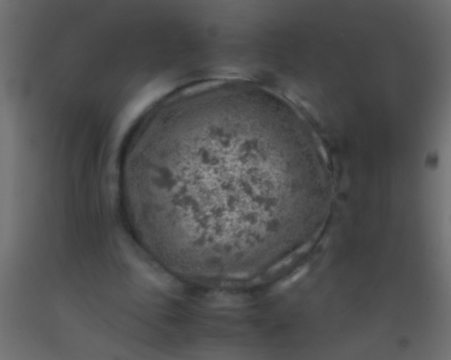X0000093100343200710101542