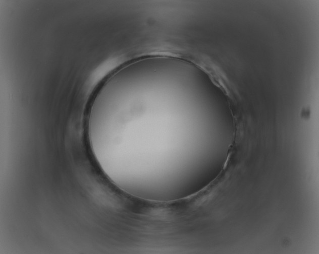 X0000093100344200710101542