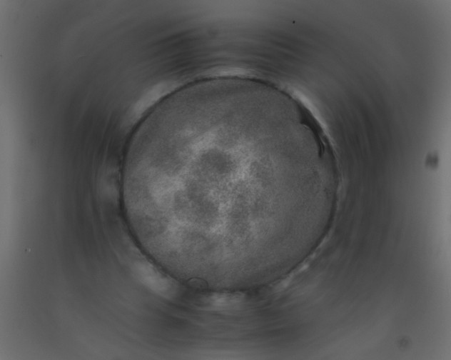 X0000093100345200710101542
