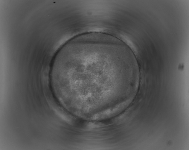 X0000093100346200710101542