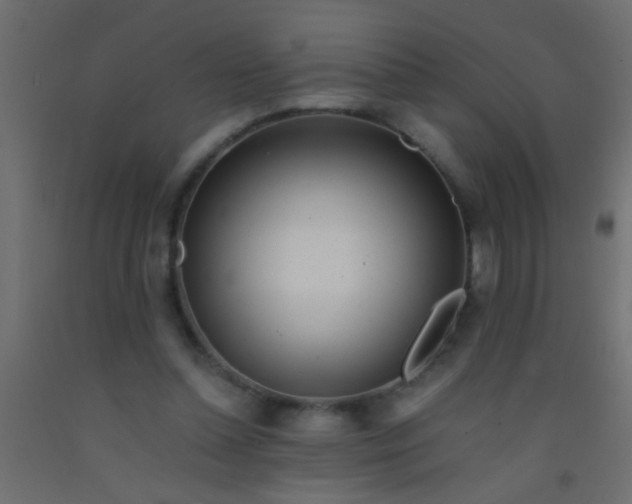 X0000093100348200710101542