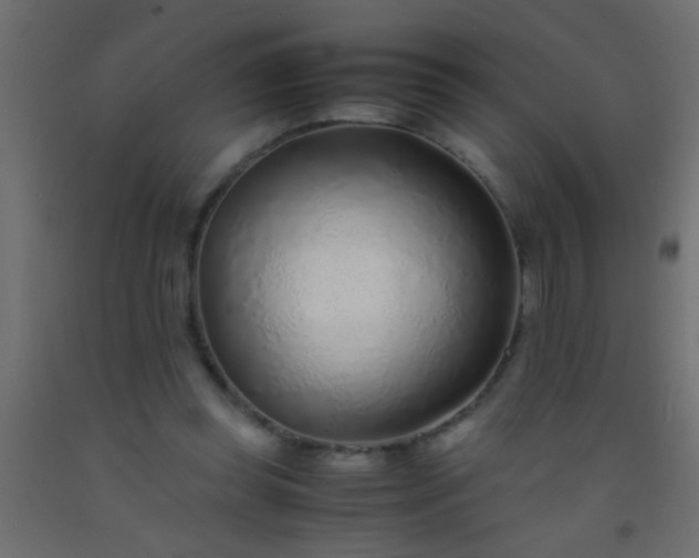 X0000093100349200710101543