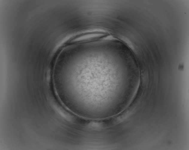 X0000093100350200710101543