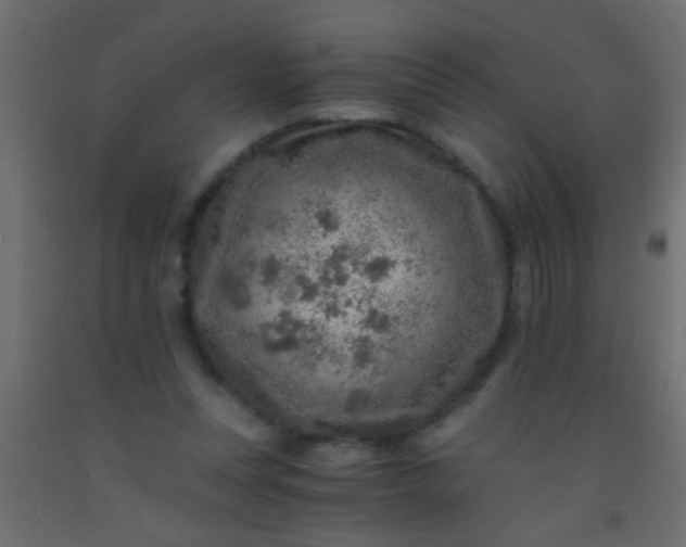 X0000093100351200710101543