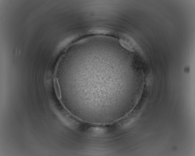X0000093100352200710101543