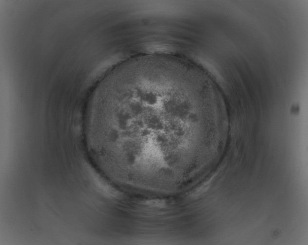 X0000093100353200710101543