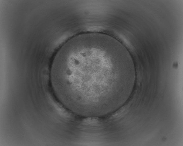 X0000093100354200710101543