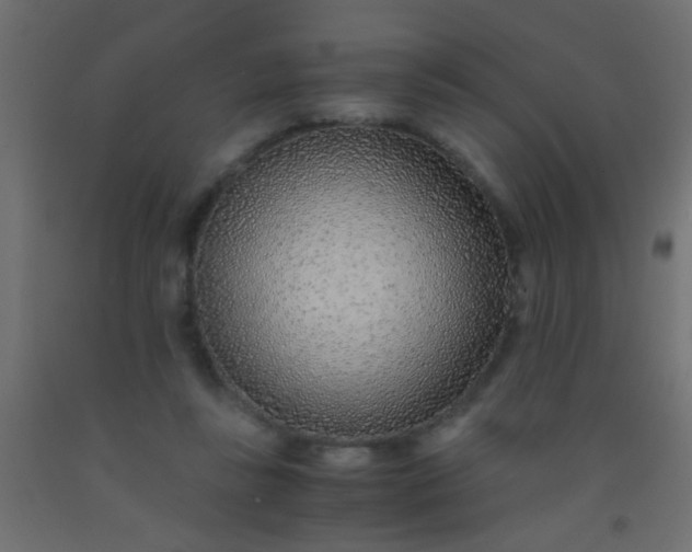 X0000093100355200710101543
