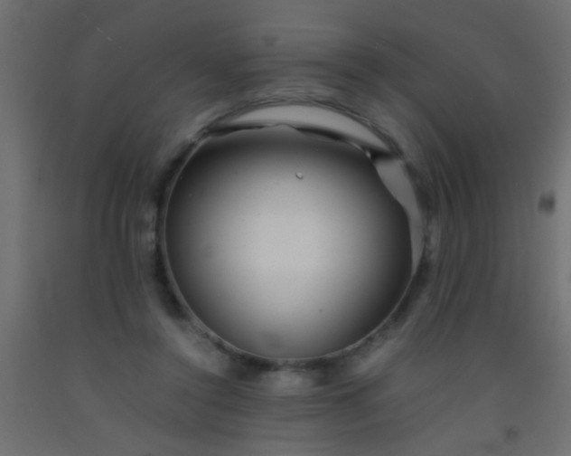 X0000093100356200710101543