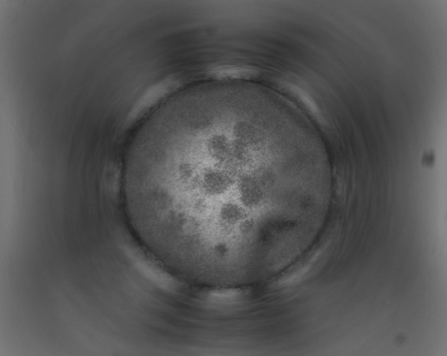 X0000093100357200710101543