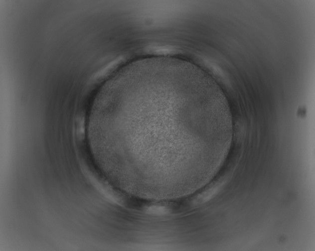 X0000093100358200710101543