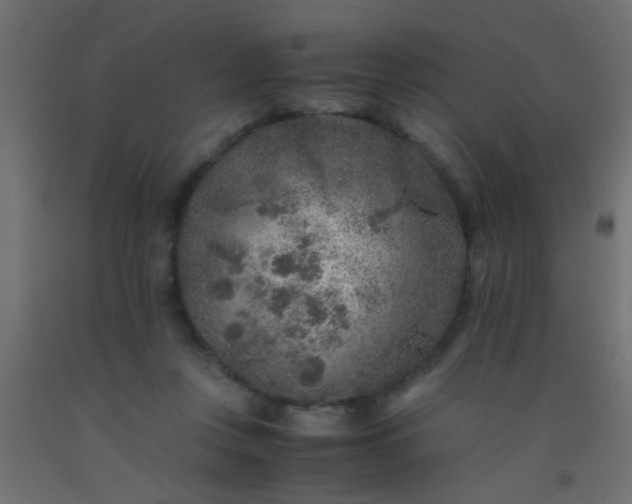 X0000093100359200710101543