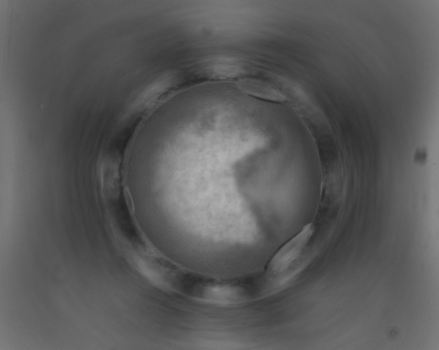 X0000093100360200710101543