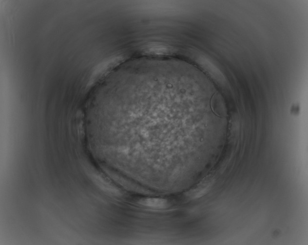 X0000093100361200710101543