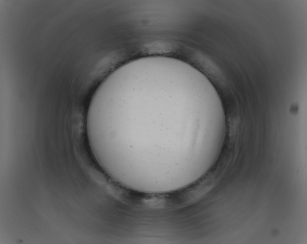 X0000093100362200710101543