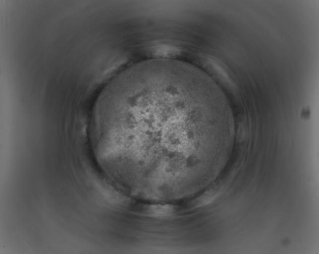 X0000093100363200710101543