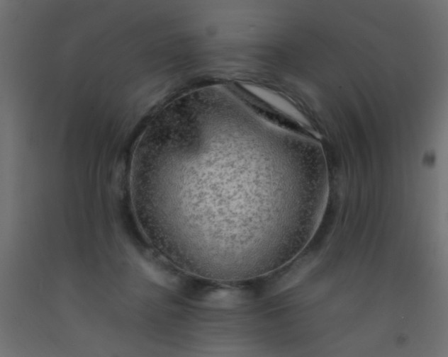 X0000093100364200710101543