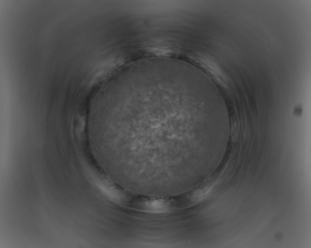 X0000093100365200710101543