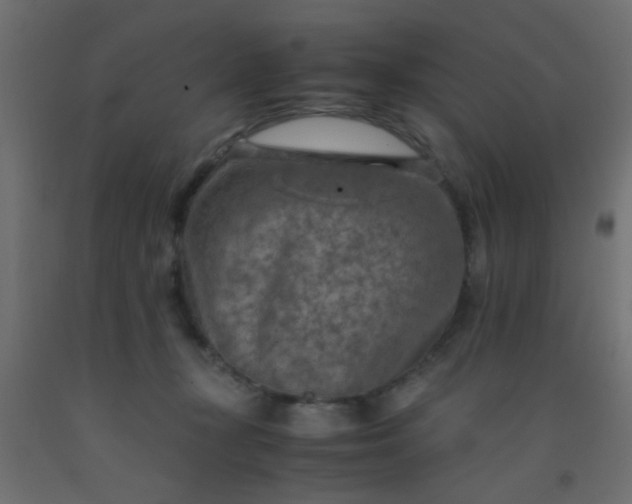 X0000093100367200710101543