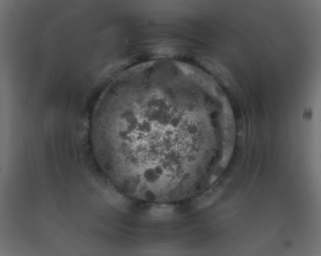 X0000093100369200710101543