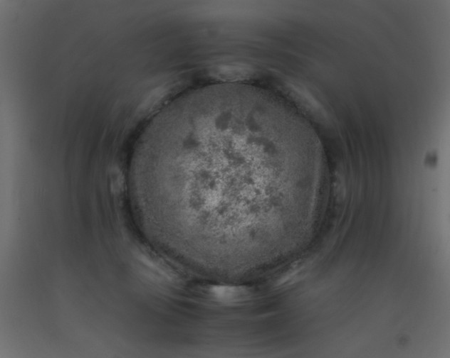 X0000093100371200710101543