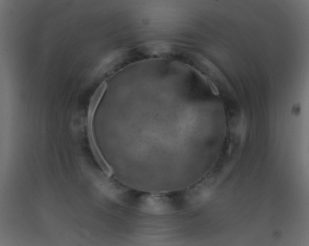 X0000093100372200710101543