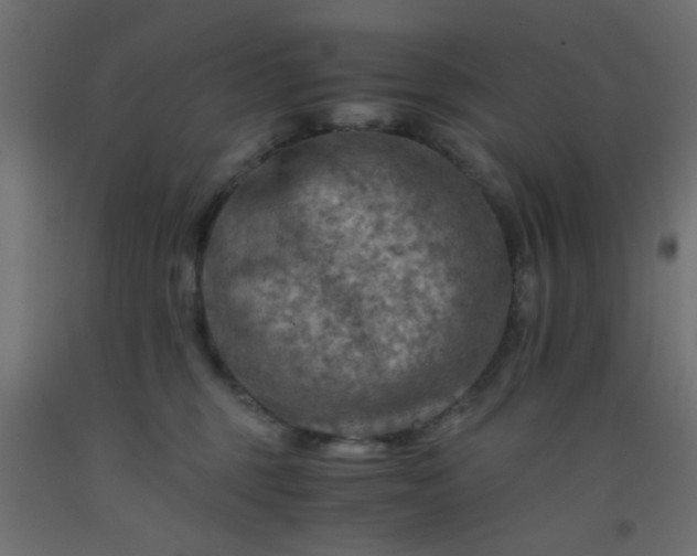 X0000093100375200710101543