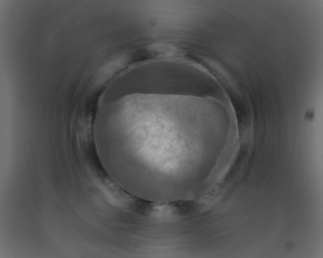 X0000093100376200710101543