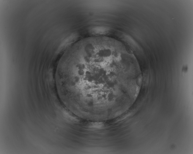 X0000093100377200710101543