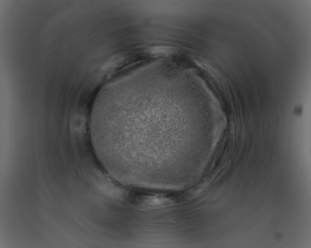 X0000093100379200710101543