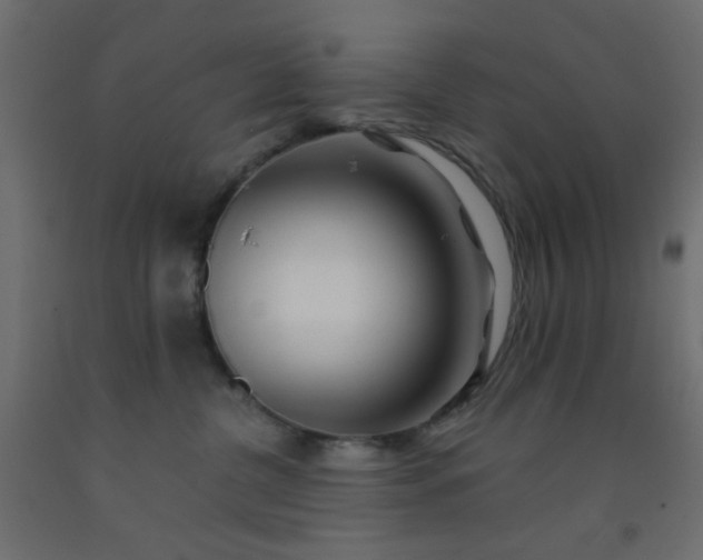 X0000093100380200710101543