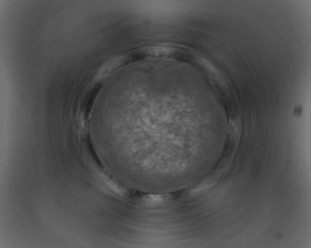 X0000093100381200710101543
