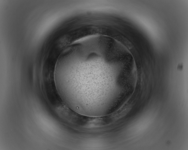 X0000093100382200710101543