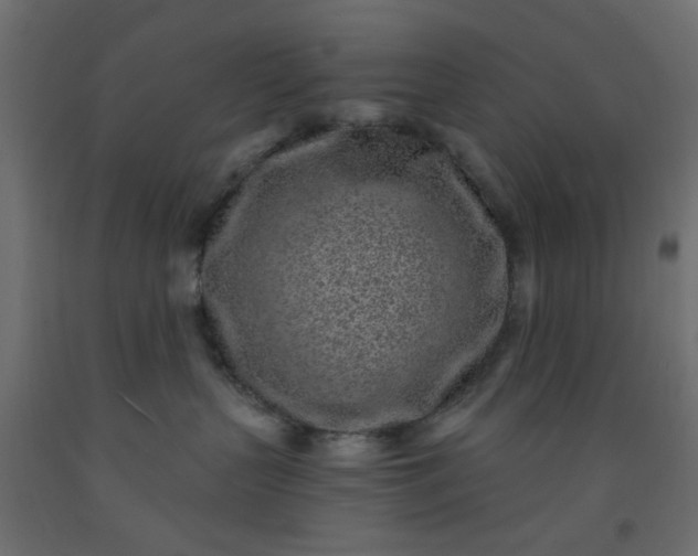 X0000093100383200710101543