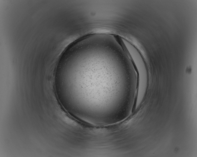 X0000093100385200710101542