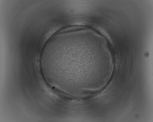 X0000093100386200710101542