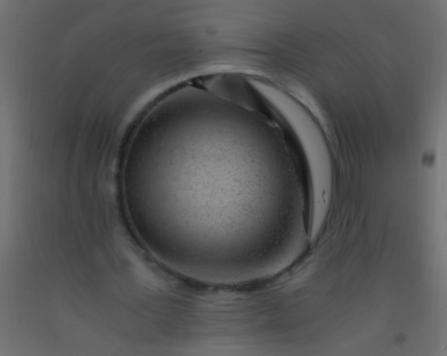 X0000093100387200710101542