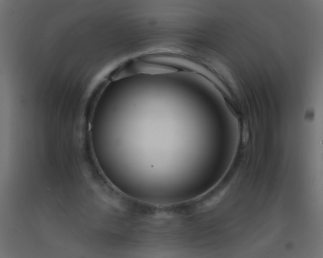 X0000093100388200710101542