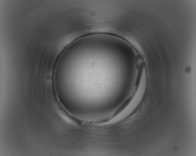 X0000093100389200710101542