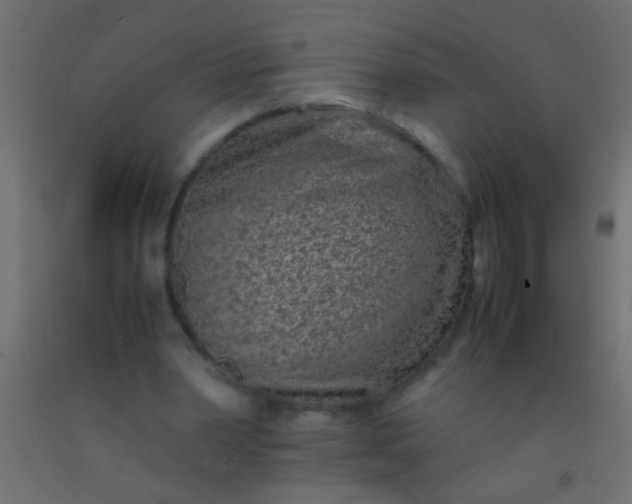 X0000093100390200710101542
