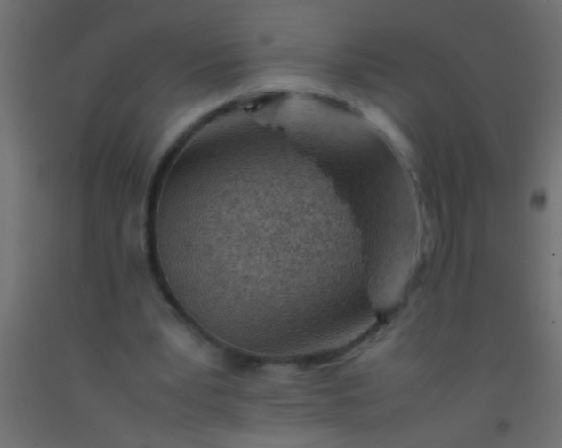 X0000093100391200710101542
