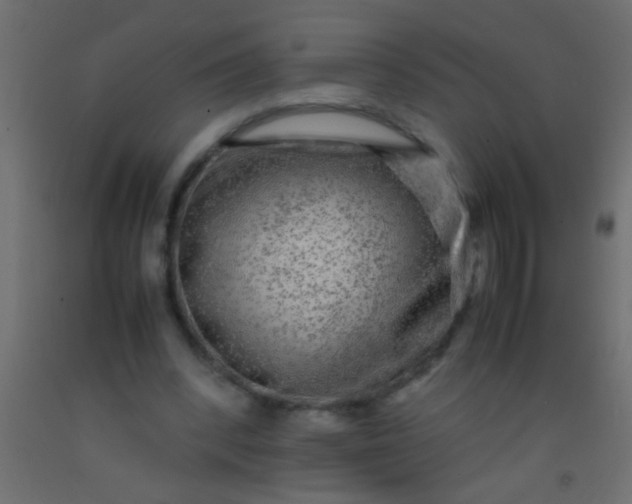 X0000093100392200710101542