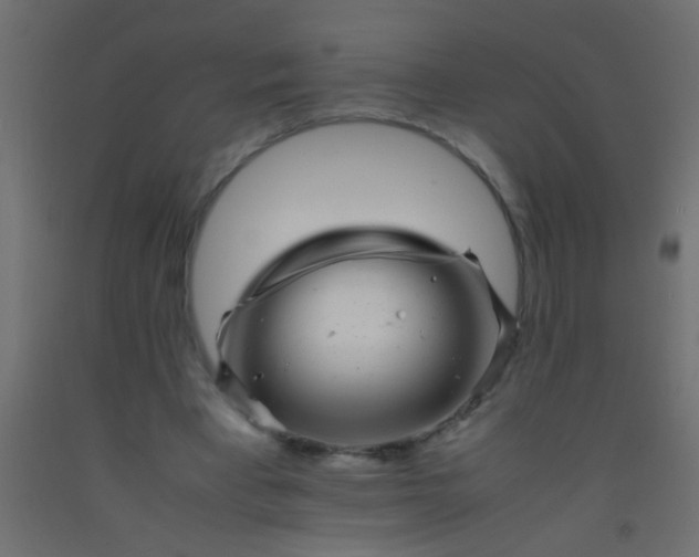 X0000093100393200710101542