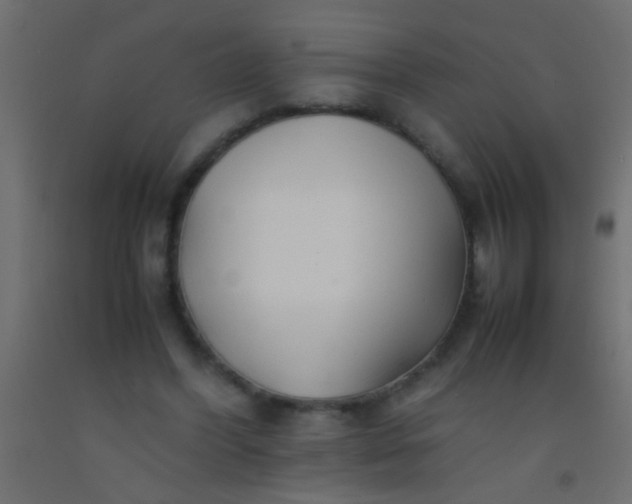 X0000093100396200710101542