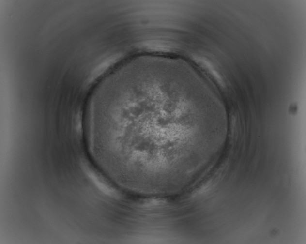 X0000093100398200710101542